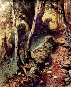 Sienien metsästys vanhassa metsässä